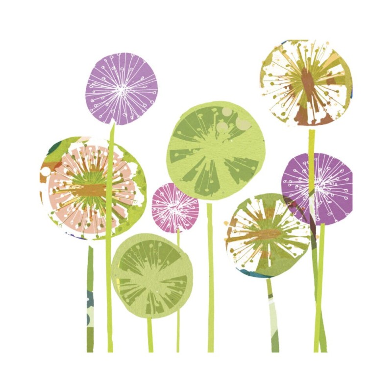 Allium Spheres Allium Spheres