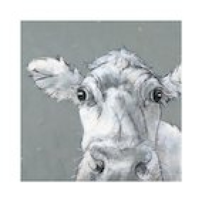 Nicola King Art Prints